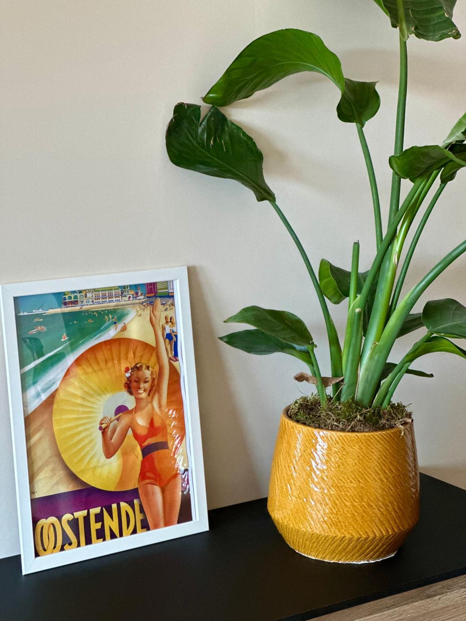 Studio By Aimee - 20M From The Beach & In City Centre! Ostend Exterior photo